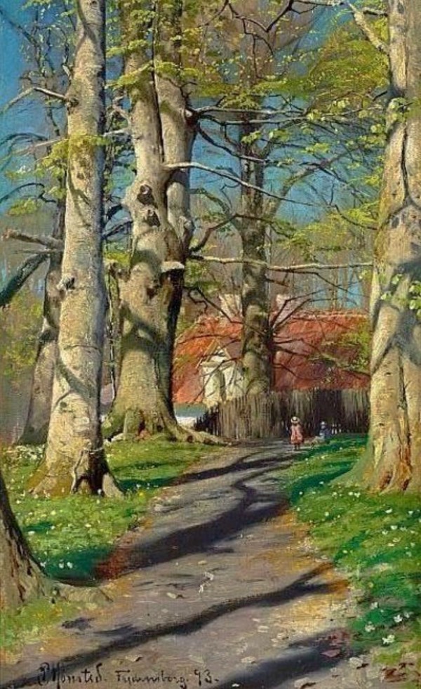 A walk in the forest during a sunny day by Peter Mork Monsted